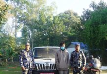 सशस्त्र प्रहरी सुनसरीद्वारा १.५३ किलो गाँजासहित स्कारपियो पक्राउ:-