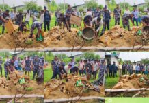 सशस्त्र प्रहरी बाराद्वारा भारतिय कुखुराको चल्ला बरामद